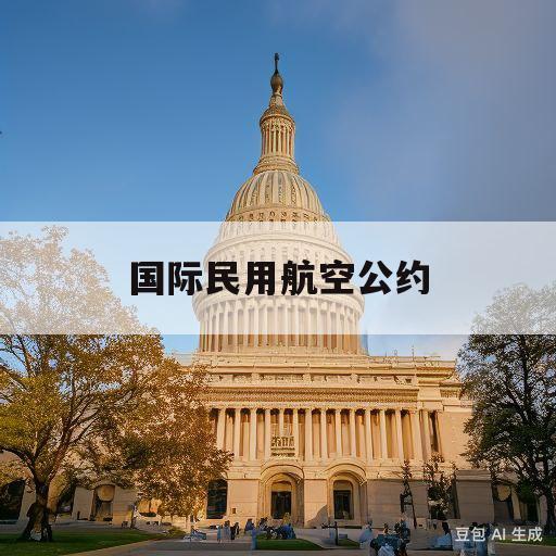 国际民用航空公约(国际民用航空公约中的适航要求主要包括)