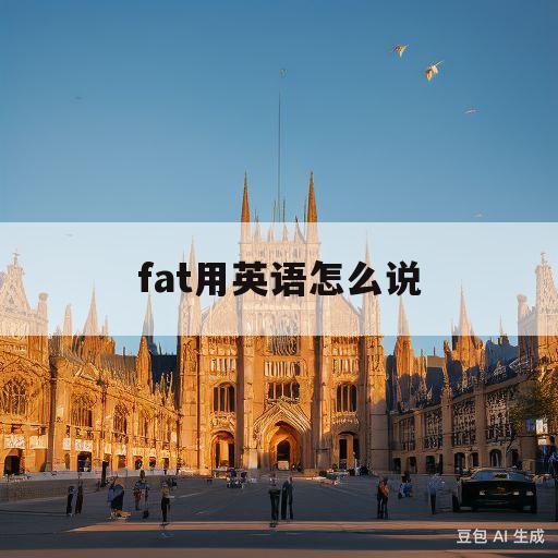 fat用英语怎么说(fat用英语怎么读音发音)