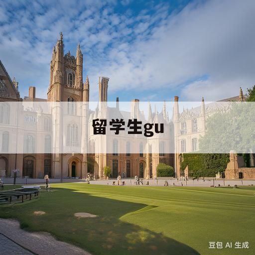 留学生gu(留学生归国政策)