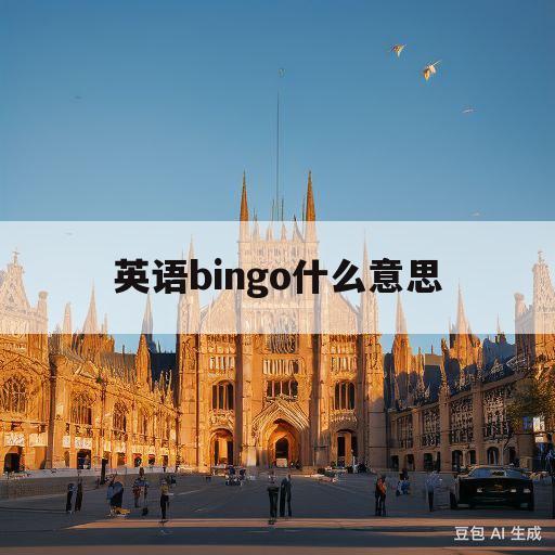 英语bingo什么意思(英语binggo是什么意思)