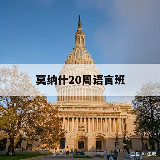 莫纳什20周语言班(莫纳什20周语言班网课)