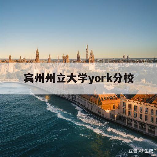 宾州州立大学york分校(宾州州立大学us news)