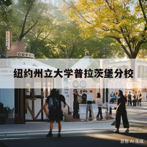 纽约州立大学普拉茨堡分校(纽约州立大学普拉茨堡分校你好网)