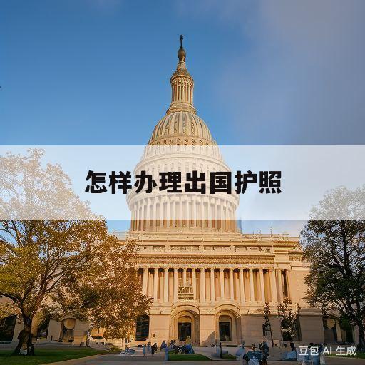 怎样办理出国护照(怎样办理出国护照的银行存款证明有金额度吗)