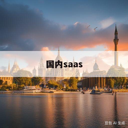 国内saas(国内saas排名)