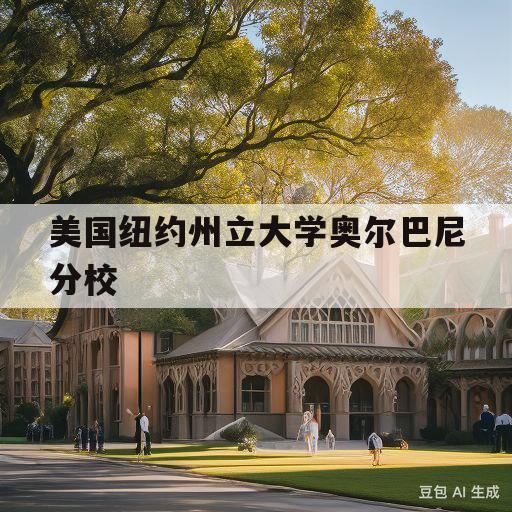 美国纽约州立大学奥尔巴尼分校(美国纽约州立大学奥尔巴尼分校全奖)