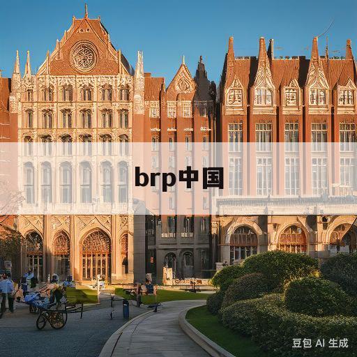 brp中国(brp中国官网)