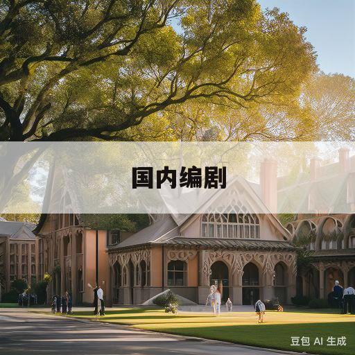 国内编剧(国内编剧专业大学排名)