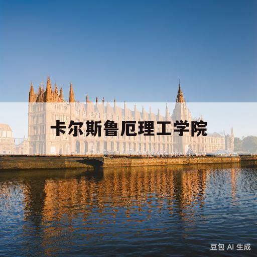 卡尔斯鲁厄理工学院(卡尔斯鲁厄理工学院研究生)