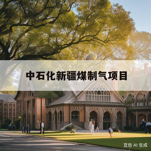 中石化新疆煤制气项目(中石化新疆煤制气项目最新进展)