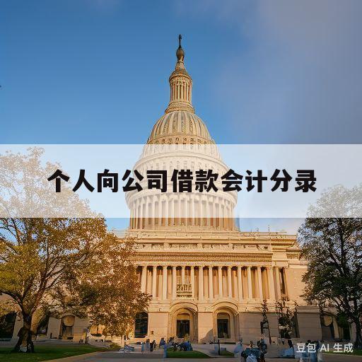 个人向公司借款会计分录(个人向公司借款会计分录怎么写)