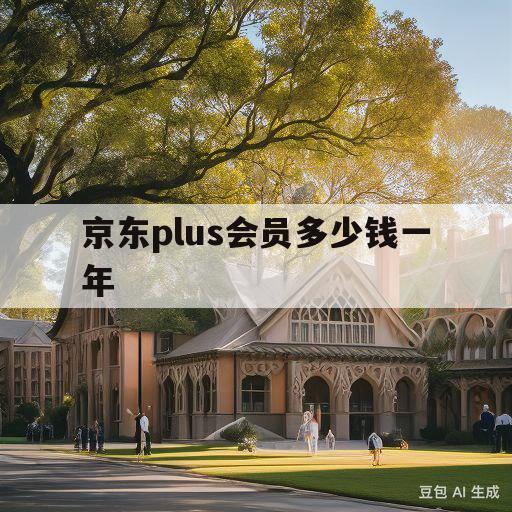 京东plus会员多少钱一年(京东plus会员多少钱一年开的)