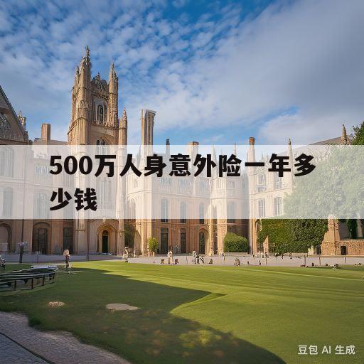 500万人身意外险一年多少钱(500万人身意外险一年多少钱车辆噫外保险)