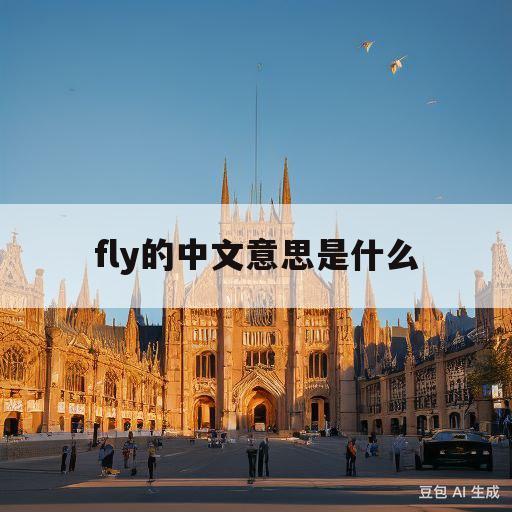 fly的中文意思是什么(fly是什么意思中文翻译是什么意思啊了)