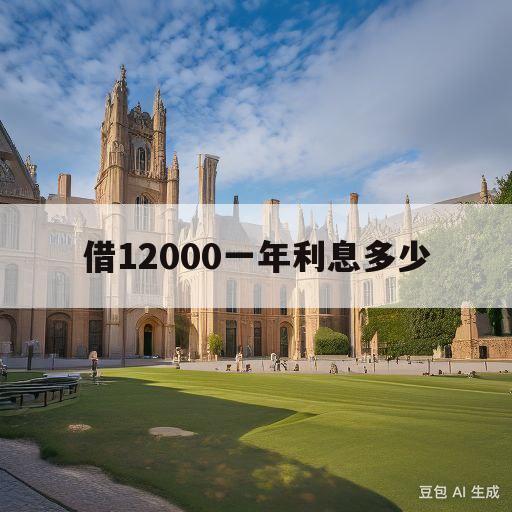 借12000一年利息多少(借12000一年还14000,利息高不高)