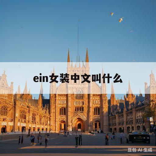 ein女装中文叫什么(ein女装旗舰店官网)