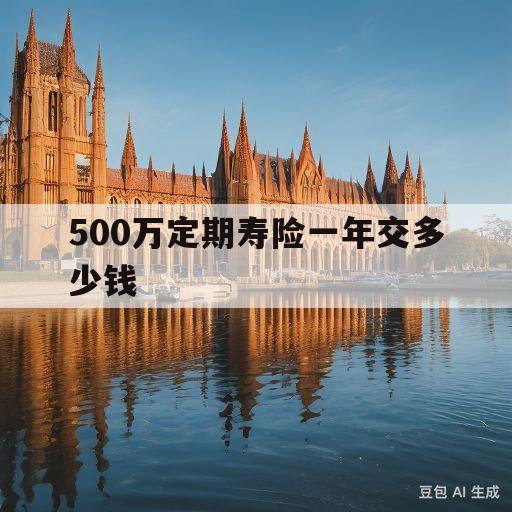 500万定期寿险一年交多少钱(500万定期寿险一年交多少钱合适)