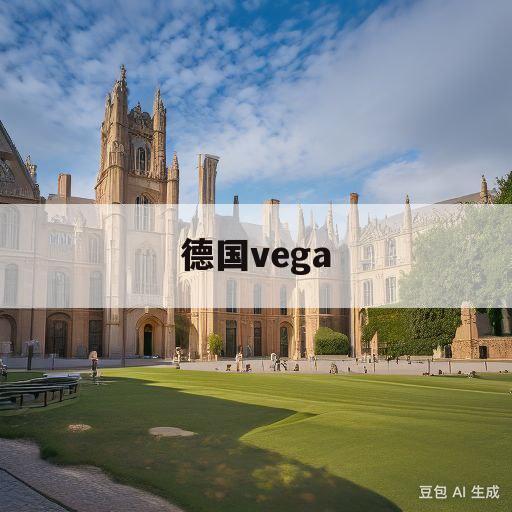 德国vega(德国vega雷达料位计ps68)