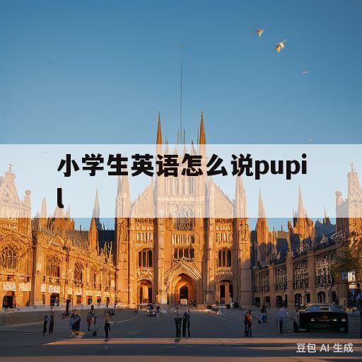 小学生英语怎么说pupil(小学生英语怎么说pupils)