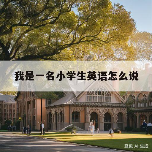 我是一名小学生英语怎么说(我是一名小学生英语怎么说怎么写)