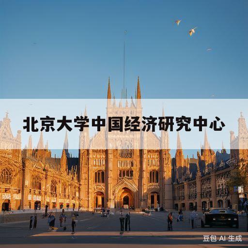 北京大学中国经济研究中心(北京大学中国经济研究中心创始人)